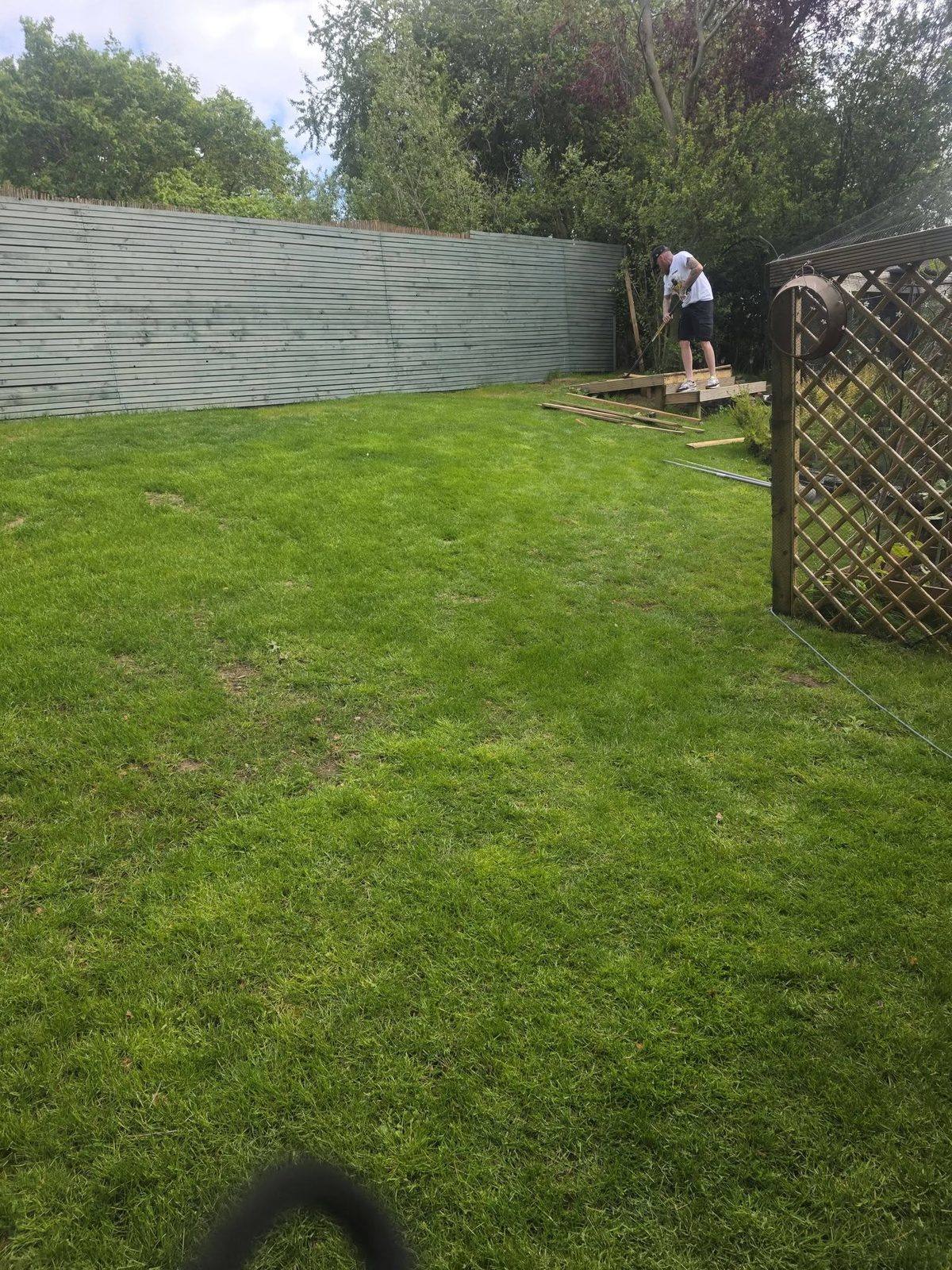 A newly laid lawn bordered by a tall timber fence, mid-project
