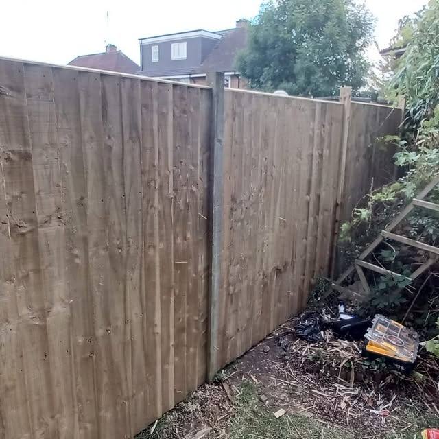 Tall timber panel fencing forming a garden boundary