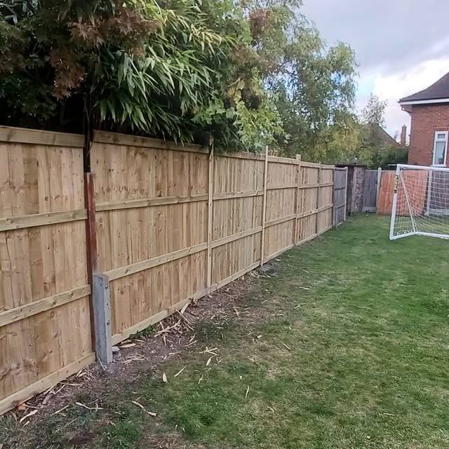 A long run of timber fence panels along a garden boundary