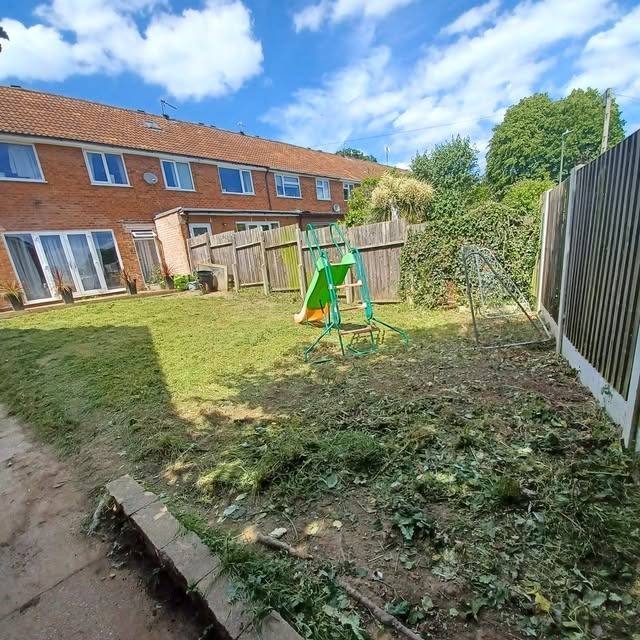 An overgrown garden ahead of a full clearance