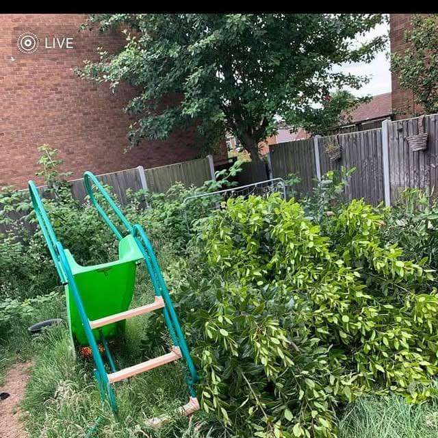 An overgrown garden being reclaimed and tidied